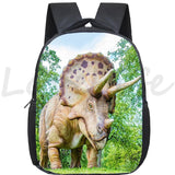 12 Inch Dinosaur Backpack for Kids Cartoon Bookbag Toddler Daypack