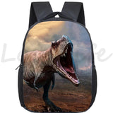 Dinosaur Backpack Kindergarten School Bags Kids Bookbag
