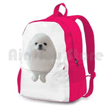 Eggdog Outdoor Hiking Backpack Waterproof Camping Travel