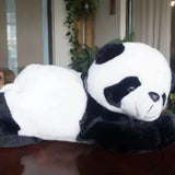 Casual Panda Backpack for Kids Unisex