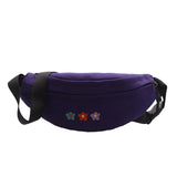 Embroidered Single Shoulder Waistband Lady's Bag
