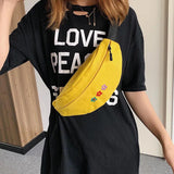 Embroidered Single Shoulder Waistband Lady's Bag