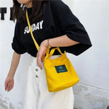 Small Bucket Bag Canvas Tote for Women Handbags