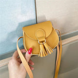 Women's Handbags Soft Surface Tassel Magnetic Buckle Small Bag