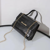 Women Large Capacity Shoulder Bags Pure Chain Handbags