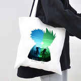 Killua Hunter Anime Manga xHuntEr Gon Pop Art School Girls Boys Messenger Bag