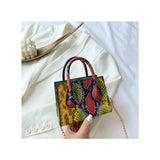 Snake Pattern Chain Small Square Bag Shoulder Handbag