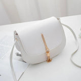 Tassel Women Crossbody Bag Small Flap Messenger Bag for Ladies