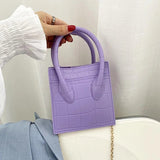 Mini Jelly Bag with Chain Strap for Women