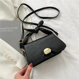 Small Square Bag for Women, Casual Shoulder Handbag