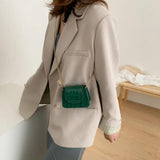 Small Square Flap Bag Crocodile Pattern Chain Shoulder Handbag