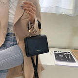 Women's Small Chain Crossbody Bag Winter Leather Handbag