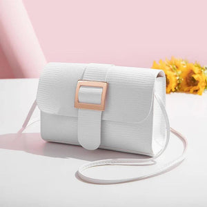 Small Square Bag Ladies Satchel Bag