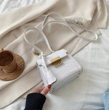 Mini Bags Women Bags Handbags And Purses