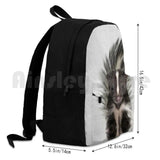 Skunk Colorful Outdoor Hiking Backpack Riding Climbing Sports Bag