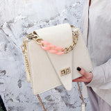Small Square Bag with Metal Buckle, Portable Shoulder Messenger