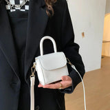 Vintage Mini Totes Handbags Women Crossbody Bags Female Ins Hot Mini Crocodile C