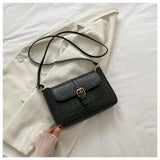 Wild Chain Messenger Bag PU Square Bag B495