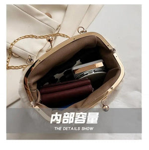Plush Clip Bags Faux Fur Evening Bag