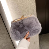 Plush Clip Bags Faux Fur Evening Bag