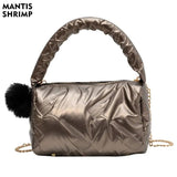 Winter Designer Shoulder Bag Chains Handbag Classic Crossbody All Match