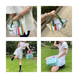 Colorful Woven Small Shoulder Bag Purse Handbag Ladies Lunch Bento Bag