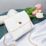 Chains Shoulder Bags for Women Lady Handbags and Purses