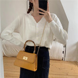 Bamboo Handle Women Handbags Chains Shoulder Bags Stone Pattern Crossbody Bag