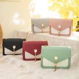 Tassel Chain Crossbody Bag Small Cat Patchwork