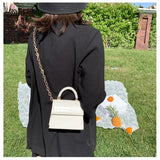 Chic Stone Pattern Crossbody Bag with Chain for Women