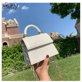 Chic Stone Pattern Crossbody Bag with Chain for Women