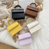 Chic Stone Pattern Crossbody Bag with Chain for Women