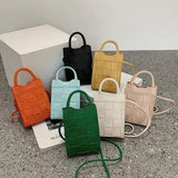 Mini Woven Handbag Crossbody Bag for Women