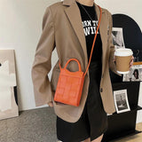 Mini Woven Handbag Crossbody Bag for Women