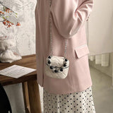 Women's Pearls Chain Mini Handbag Single Shoulder Messenger Bag