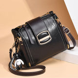 Women's Shoulder Bag Crossbody Messenger Handbag