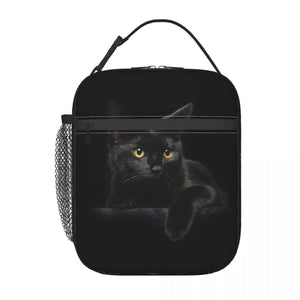 Cat Insulated Lunch Bags for Women Kitty Animal Lover Thermal Cooler
