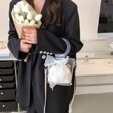 Bow Tie Round Handle Totes Mini Clear PVC Crossbody Bag for Women