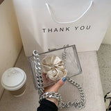 Transparent Acrylic Jelly Bag with Thick Chain Tote
