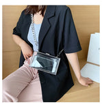 Transparent Acrylic Jelly Bag with Thick Chain Tote