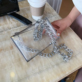 Transparent Acrylic Jelly Bag with Thick Chain Tote