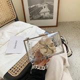 Transparent Acrylic Jelly Bag with Thick Chain Tote