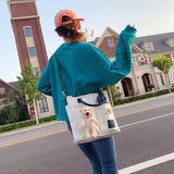 Canvas Bag Female Shoulder Crossbody Large Capacity Versatile Student Ins