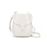 Small Box Bag Shoulder Crossbody Bags for Women