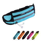 Waterproof Travel Waist Pack for Mobile Phone, Passport, Money