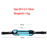 Waterproof Travel Waist Pack for Mobile Phone, Passport, Money