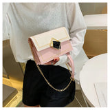 Chain Crossbody Bag Messenger Small Shoulder Travel Purse