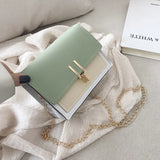 Small Leather Crossbody Bag Chain Shoulder Messenger Travel Mini Bag