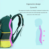 Orthopedic School Bag for Kids Large Capacity Waterproof Backpack