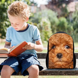 Dinosaur Kids School Bag for Boys - Kindergarten Backpack 12 Inch